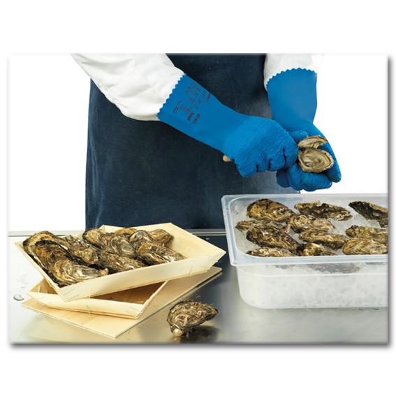 Ansell ALPHATEC 62-401 (ex. VERSATOUCH) - Chemieschutzhandschuhe