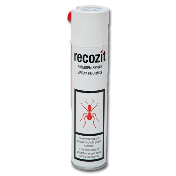 RECOZIT - Ameisen-Bekämpfungsmittel Spray