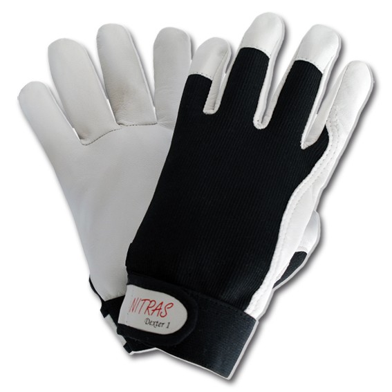 NITRAS 8905 DEXTER 1 - Schutzhandschuhe